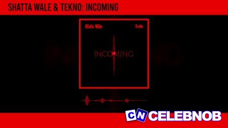 Cover art of Shatta Wale – Incoming ft Tekno