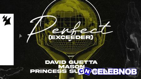 Cover art of David Guetta – Perfect (Exceeder) ft. Mason & Princess Superstar