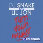 DJ Snake – Turn Down for What ft. Lil Jon