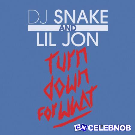 DJ Snake – Turn Down for What ft. Lil Jon Latest Songs