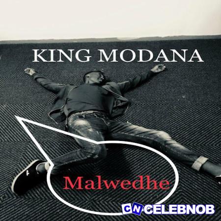Cover art of King Modana – Malwedhe
