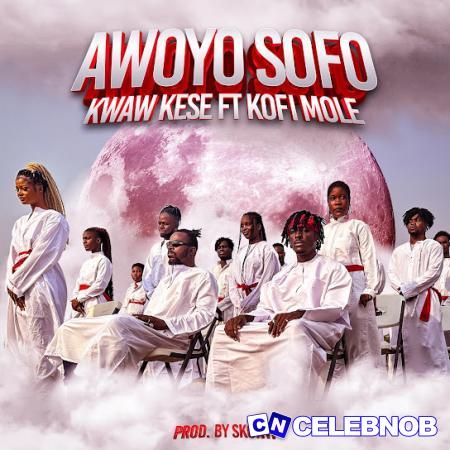 Cover art of Kwaw Kese – Awoyo Sofo ft. Kofi Mole
