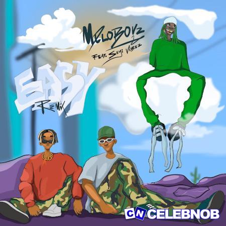 Cover art of Meloboyz – Easy (Remix) ft Seyi Vibez