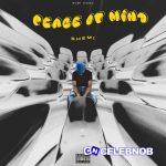 Shemi – Peace Of Mind (Remix) Ft. Juno Kizigenza