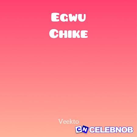 Cover art of Veekto – Egwu Chike