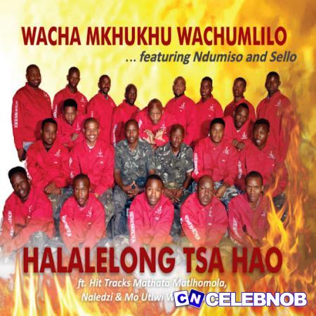 Cover art of Wacha Mkhukhu Wachumlilo – Bonang Ho Hlahile Maru ft. Sello Mothapo