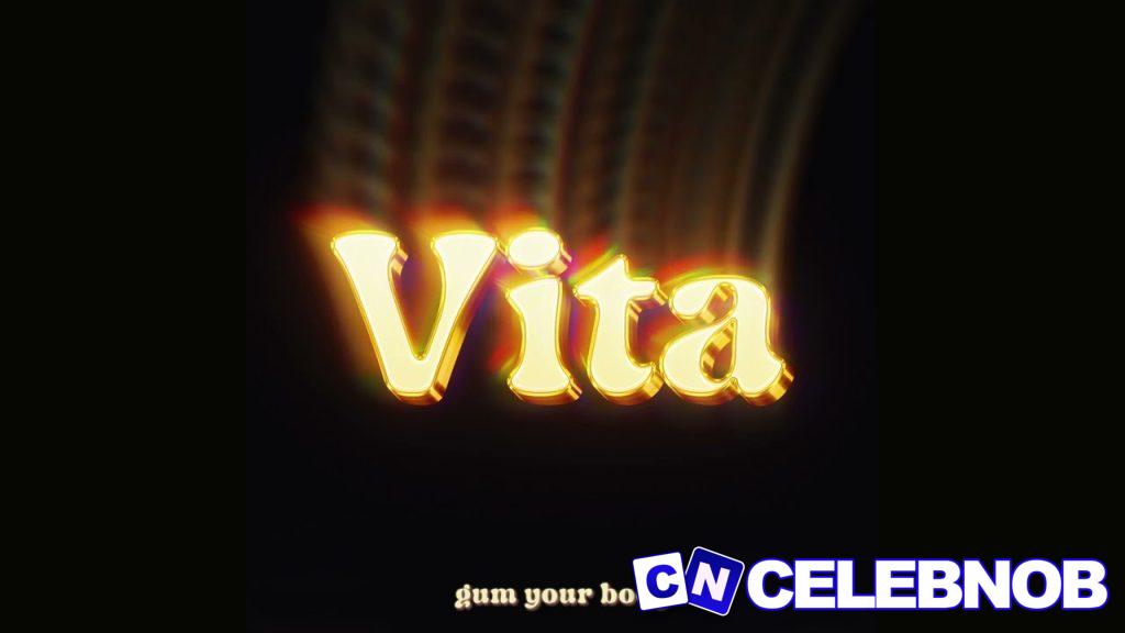Cover art of VITA FT. Hyphen NGA ( Lyric Video )