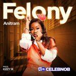 Anitram – Felony