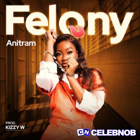 Cover art of Anitram – Felony