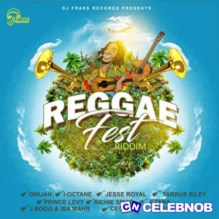 Cover art of DJ Frass – Reggae Fest Instrumental
