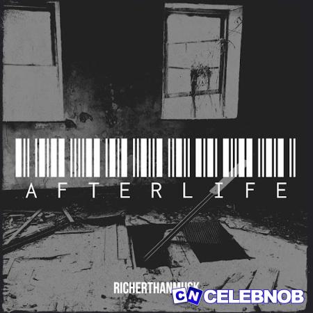 Cover art of Richerthanmusk – Afterlife
