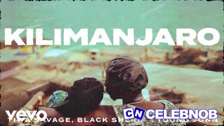 Cover art of Tiwa Savage – Kilimanjaro ft Black Sherif