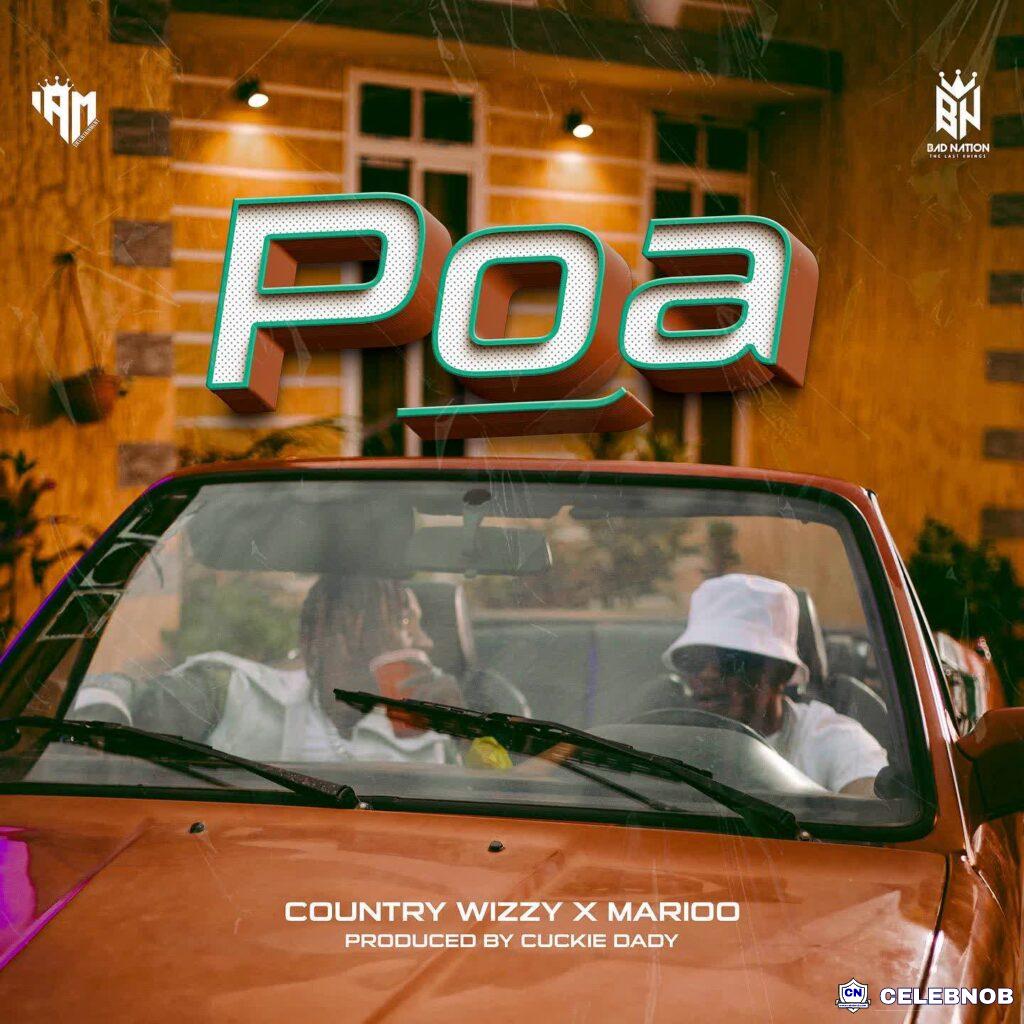Cover art of Country Wizzy – Poa ft Marioo