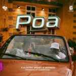 Country Wizzy - Poa ft Marioo