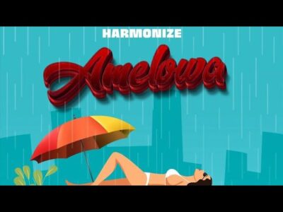 Cover art of Harmonize - Amelowa