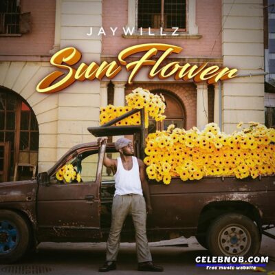 Jaywillz – Spoils artwork