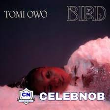 Cover art of Tomi Owo - Bird