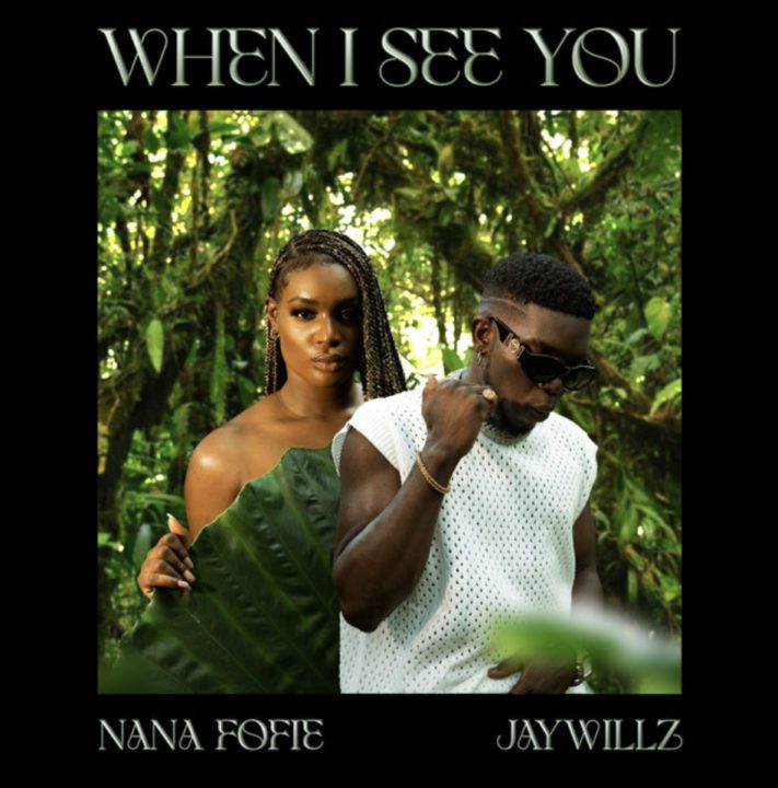 Cover art of When I See You Lyrics by Nana Fofie Ft Jaywillz