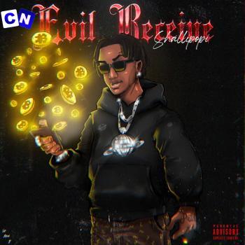 Cover art of Shallipopi – Evil Receive