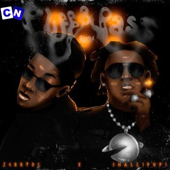 Cover art of Zerry DL – Puff & Pass (Remix) Ft Shallipopi