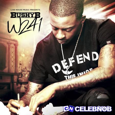 Cover art of Bushy B – Scared