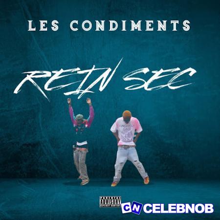 Cover art of Les condiments – Rein Sec