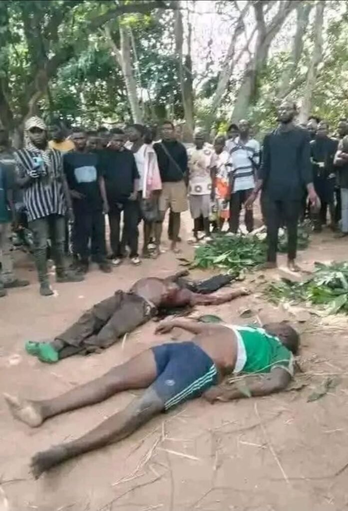 Cover art of Fulani Herdsmen Attack in Ihamufu, Isi-Uzo, Enugu State, Nigeria